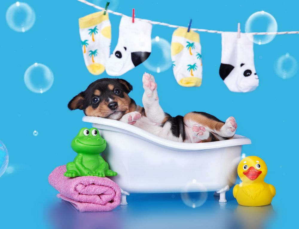 Photograph by Юлия Вербицкая