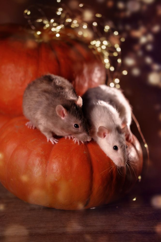 Photograph by Екатерина Морозова