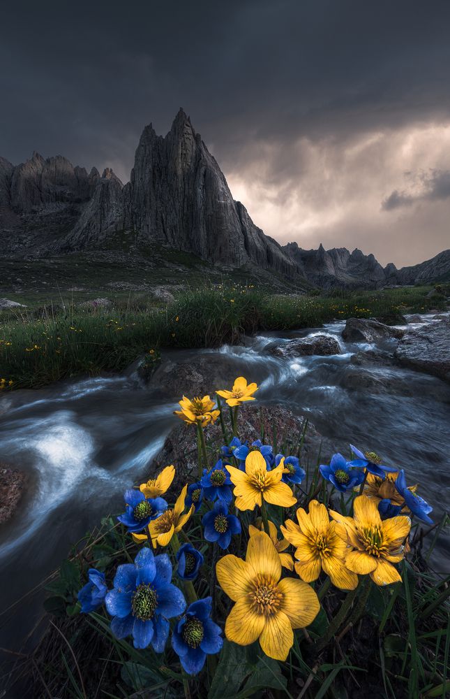 Photograph by Yan Shibo