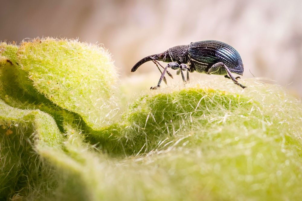 Photograph by Юрий Яковлевич