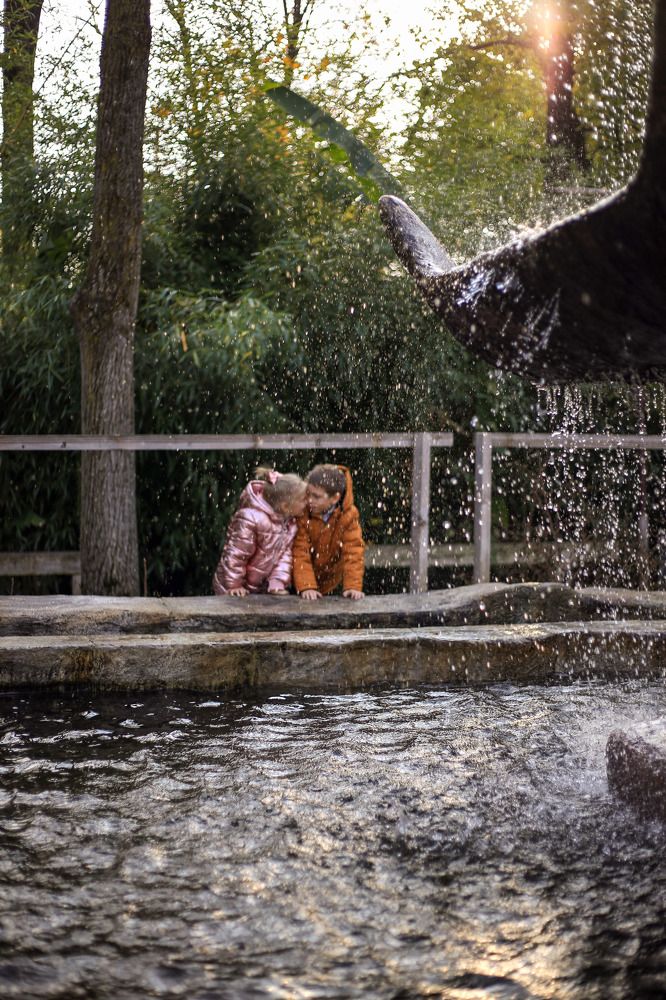 Photograph by Анастасия Кочеткова