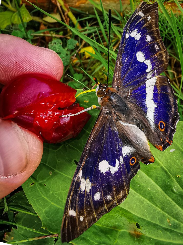 Photograph by Сергей Метлов