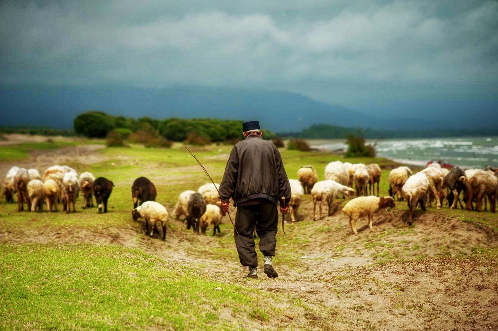 Photograph by DAMOUN POURNEMATI