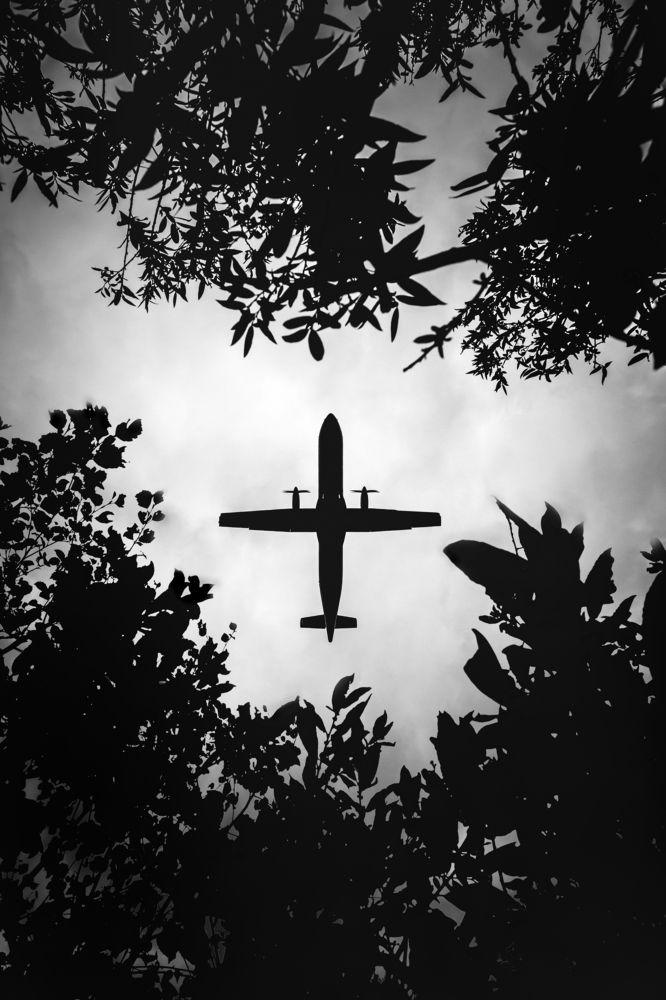 Photograph by Патрокеев Владислав