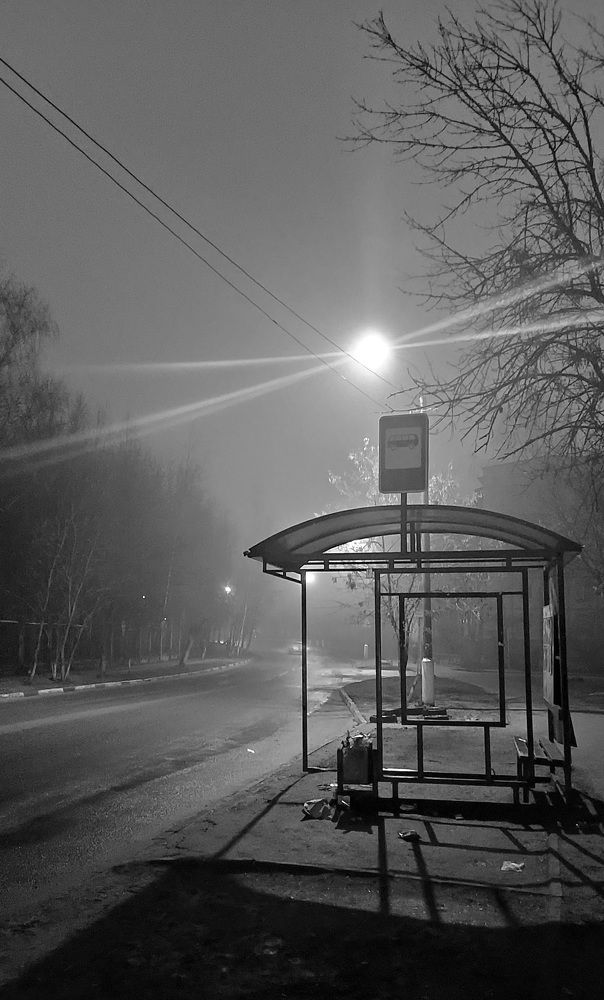 Photograph by Виктор Поздняк