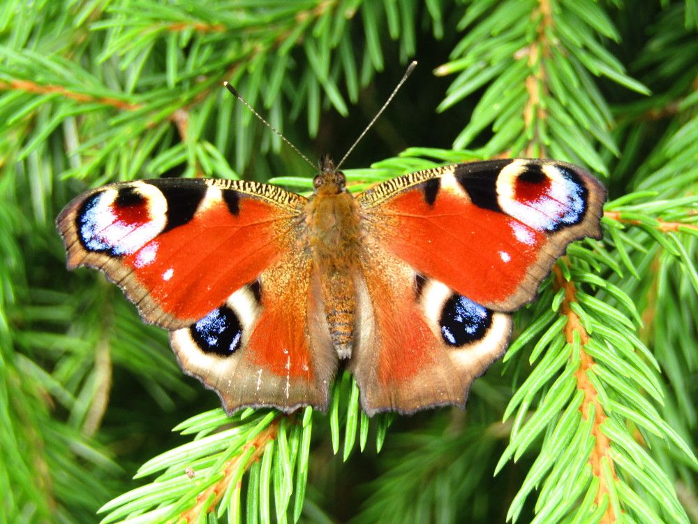 Photograph by Olga Kot