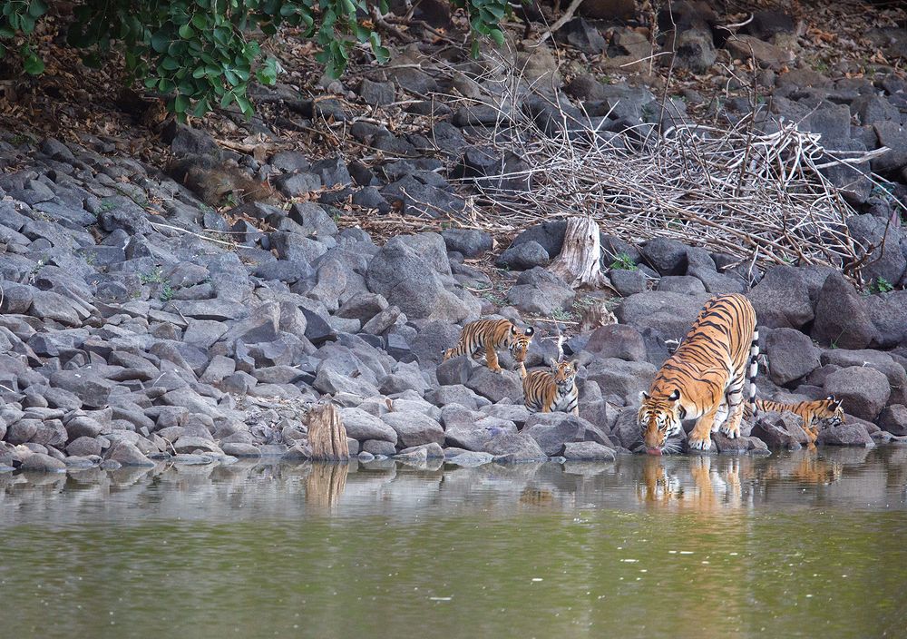 Photograph by Bhanu Kiran Botta