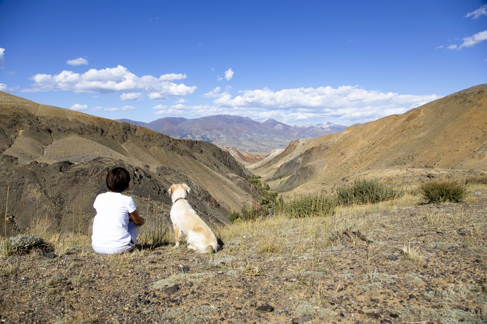 Photograph by Александр Трегубов