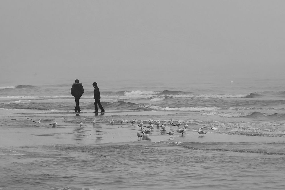 Photograph by Антипов Игорь