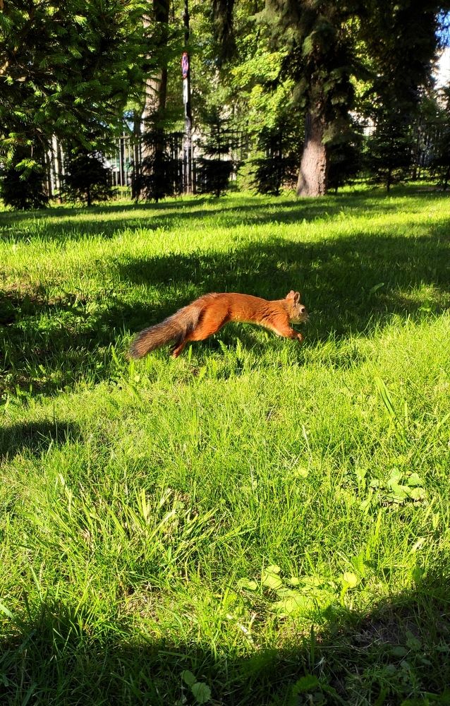 Photograph by Юрий Богачев