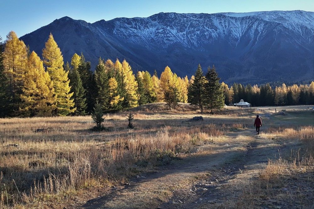 Осенние прогулки