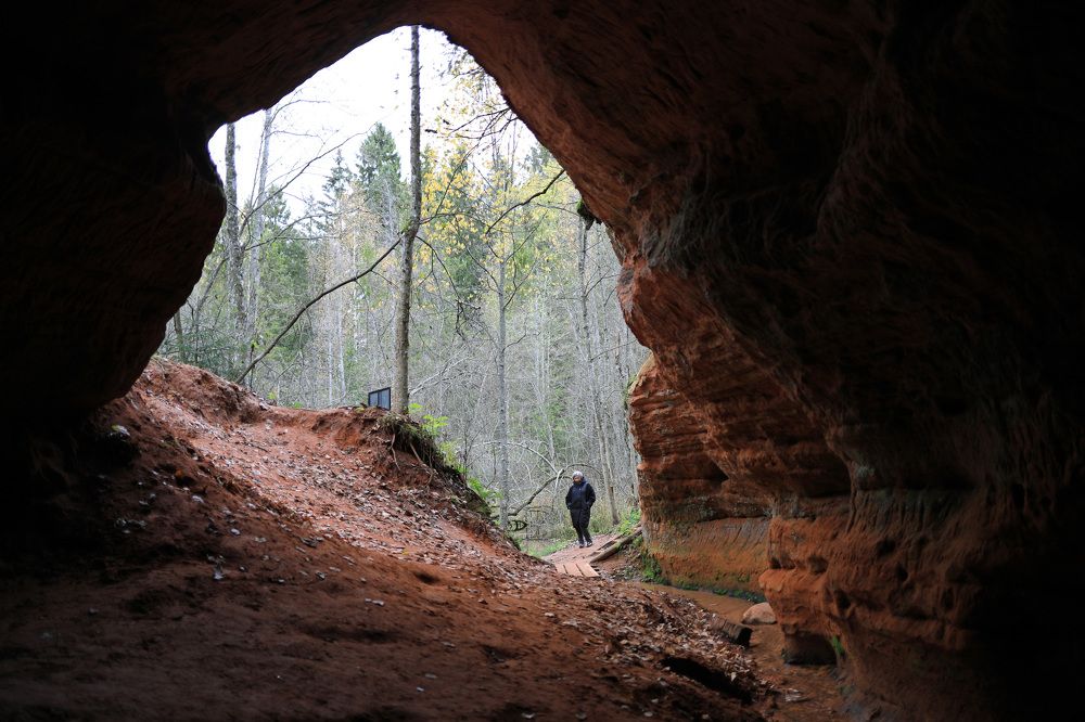 Photograph by Владимир Грибков