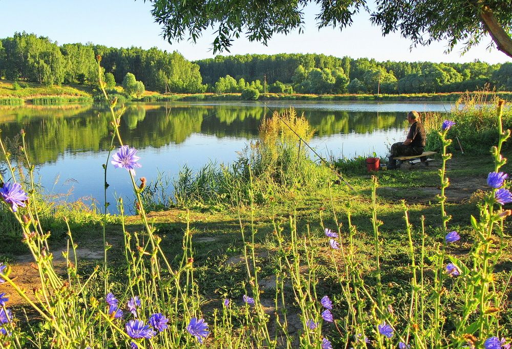 Photograph by Виталий Симоненков