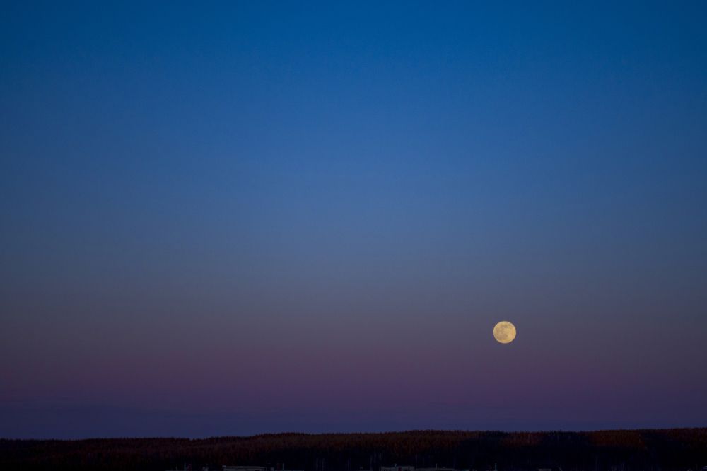 Photograph by Анна Ушакова