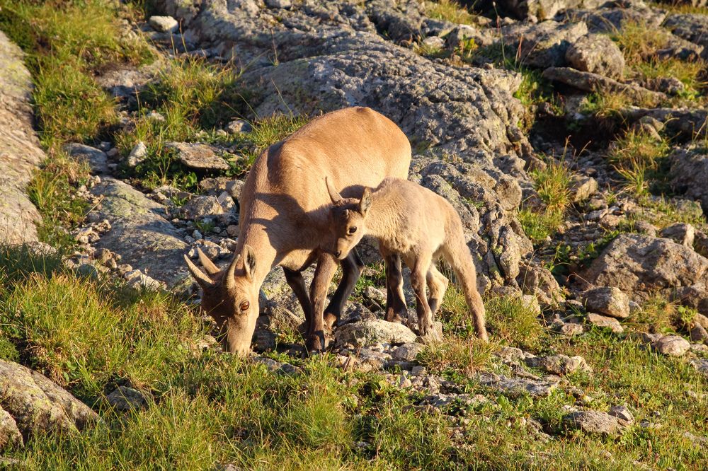 Photograph by Евгения