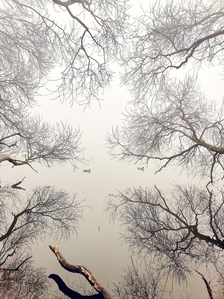 Photograph by Krystyna