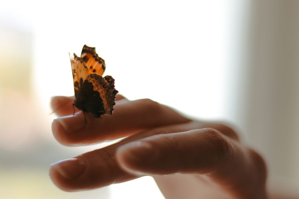 Photograph by Ульяна Кухновец