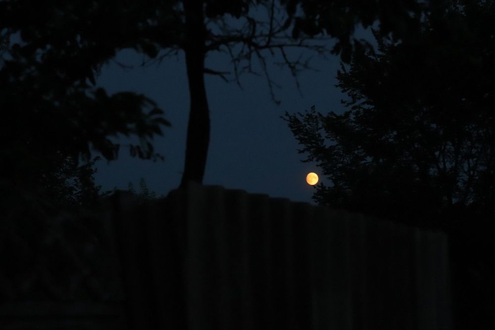 Photograph by Ульяна Кухновец