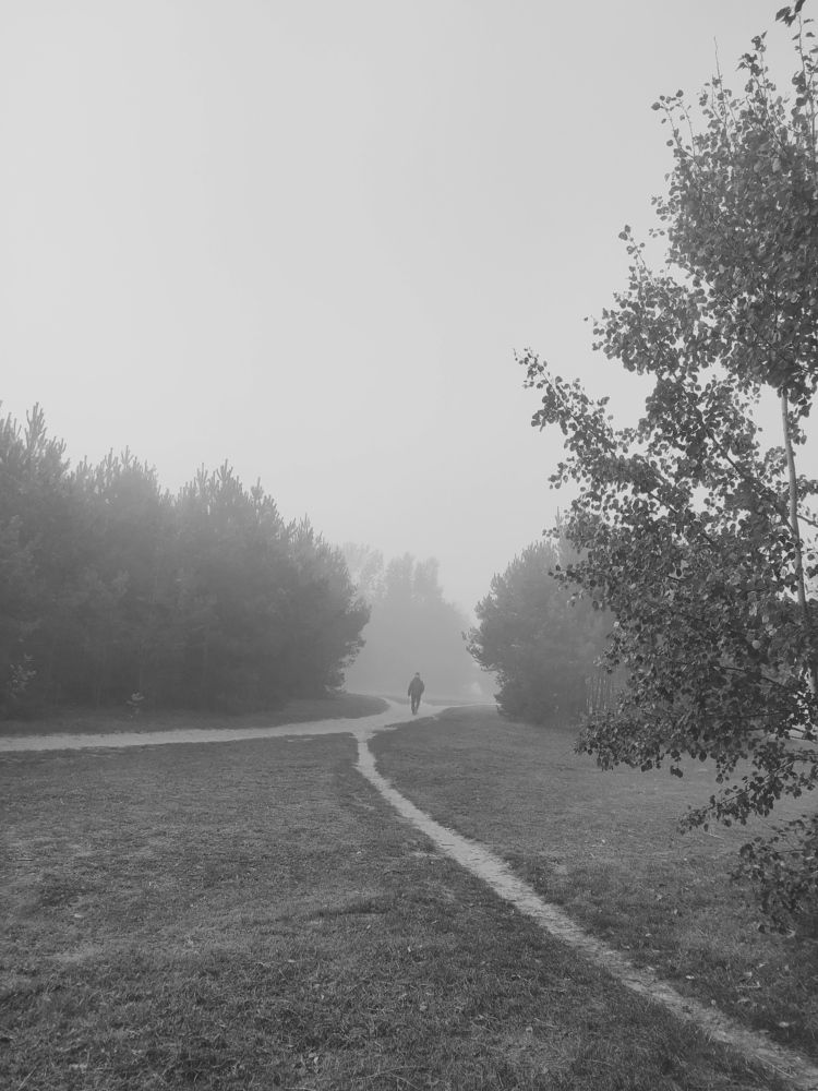 Photograph by Ирина Половцева