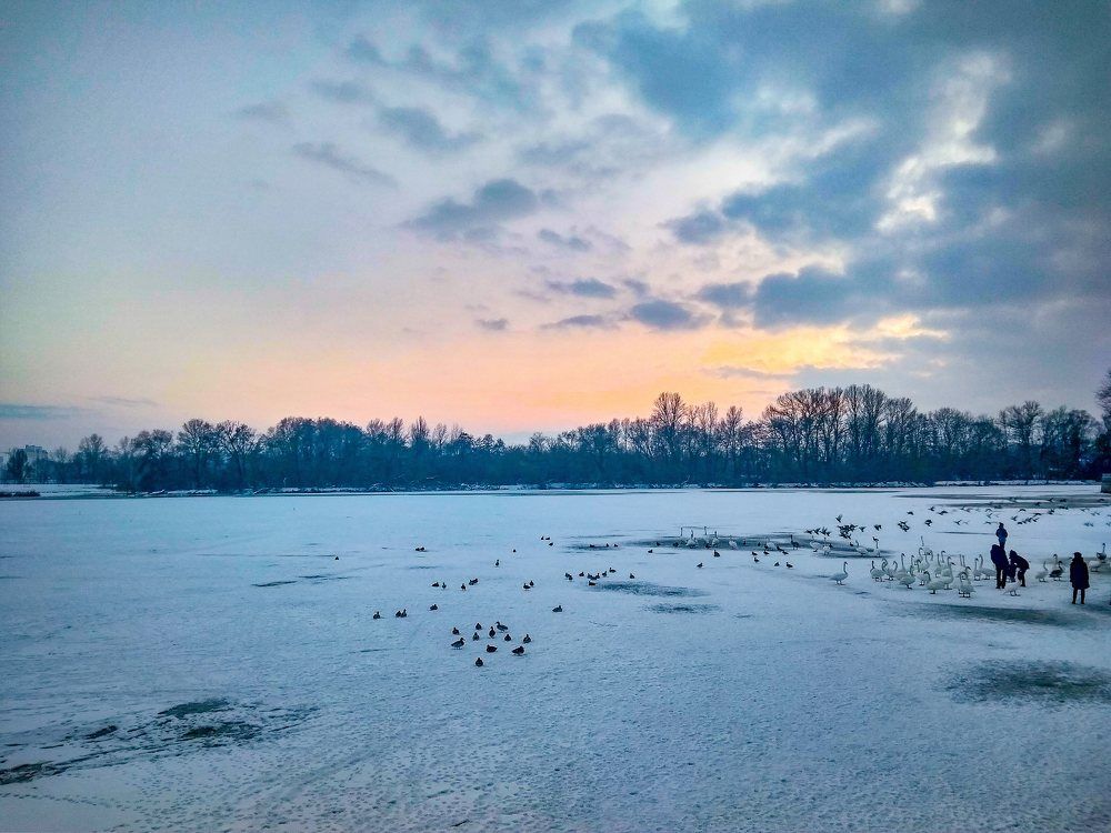 Photograph by Ирина Половцева