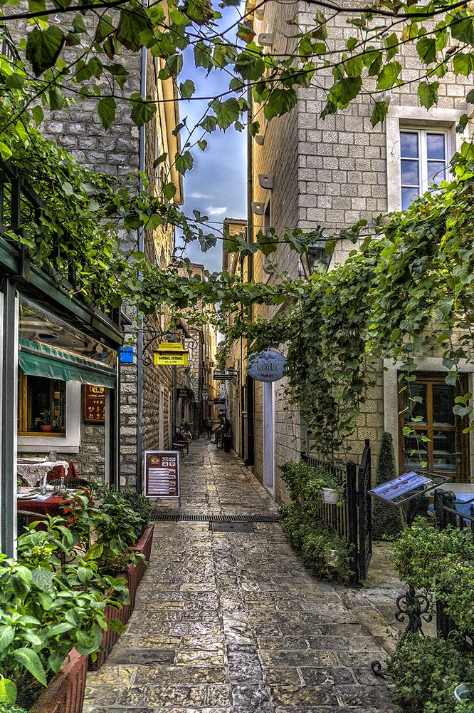 Фотография автора Milena Ivanova