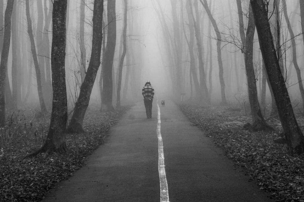 Photograph by 
