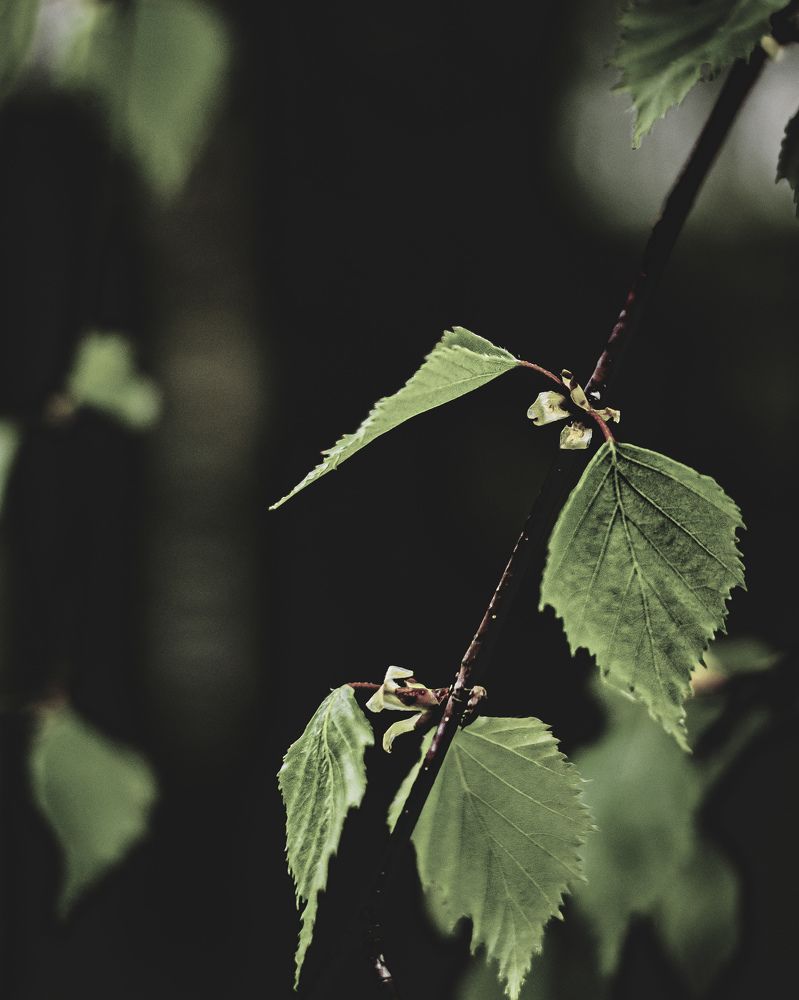 Photograph by Владимир Гончаров