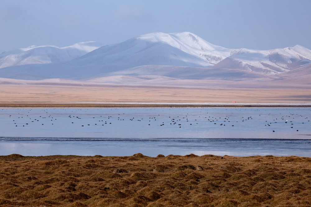 Photograph by Evgeny S.