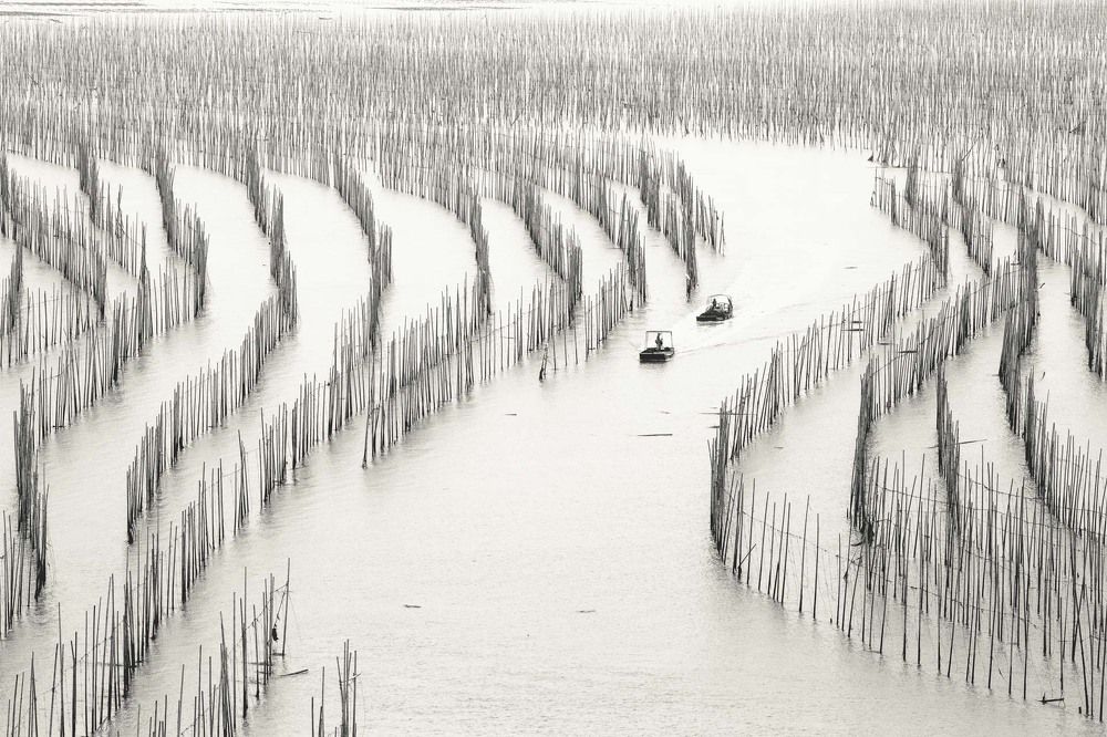 Photograph by Evgeny S.