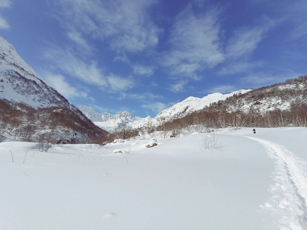 Фотография автора OXANA MARSOVA