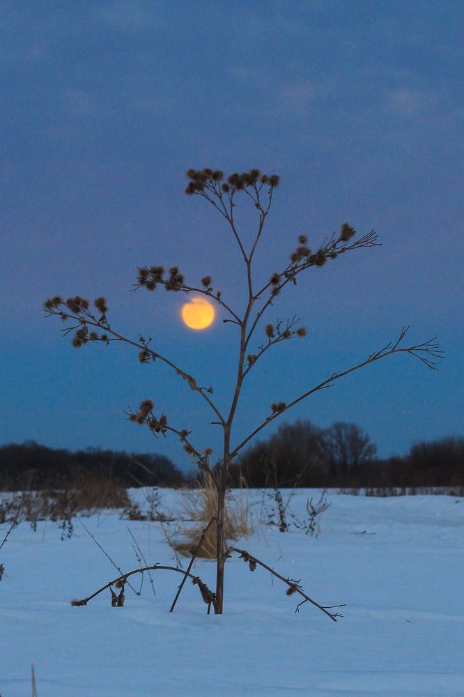 Photograph by Чудинин Дмитрий