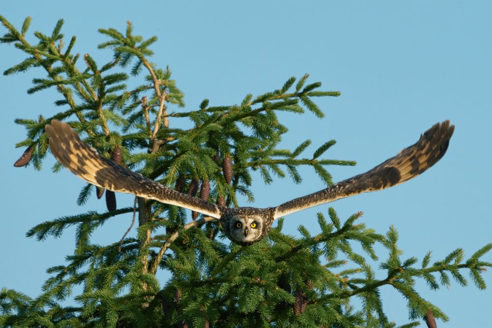 Photograph by Николай Игумнов