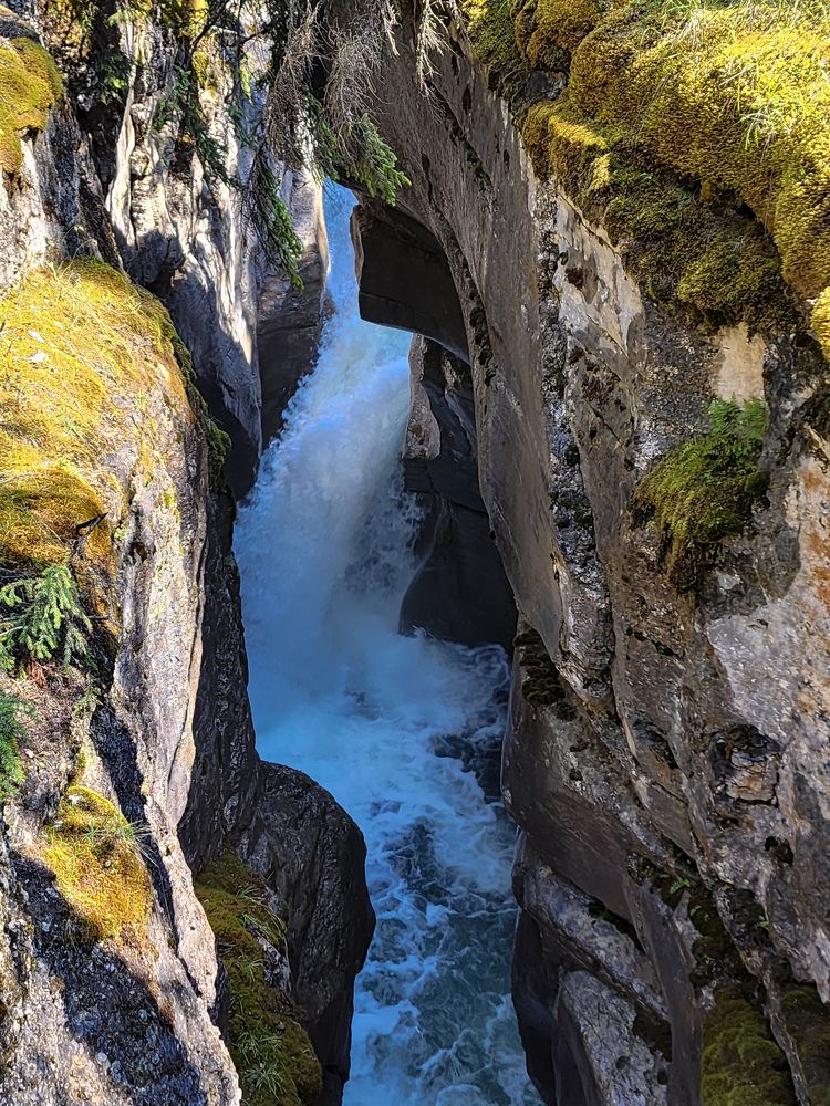 Фотография автора Al