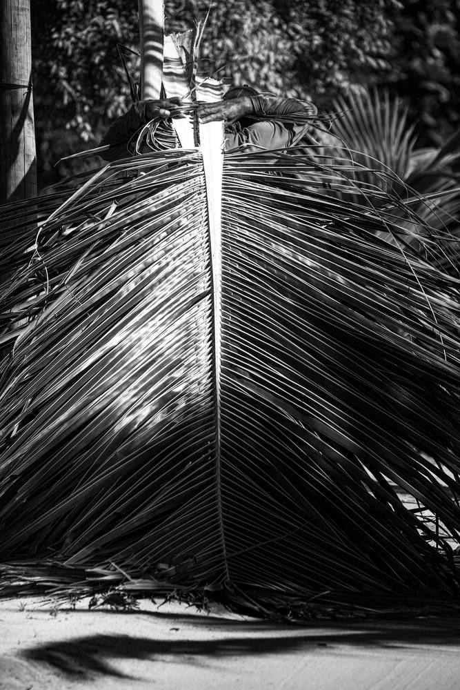 Photograph by Marcelo Aniello