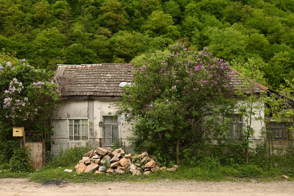 Photograph by Elvira Ner