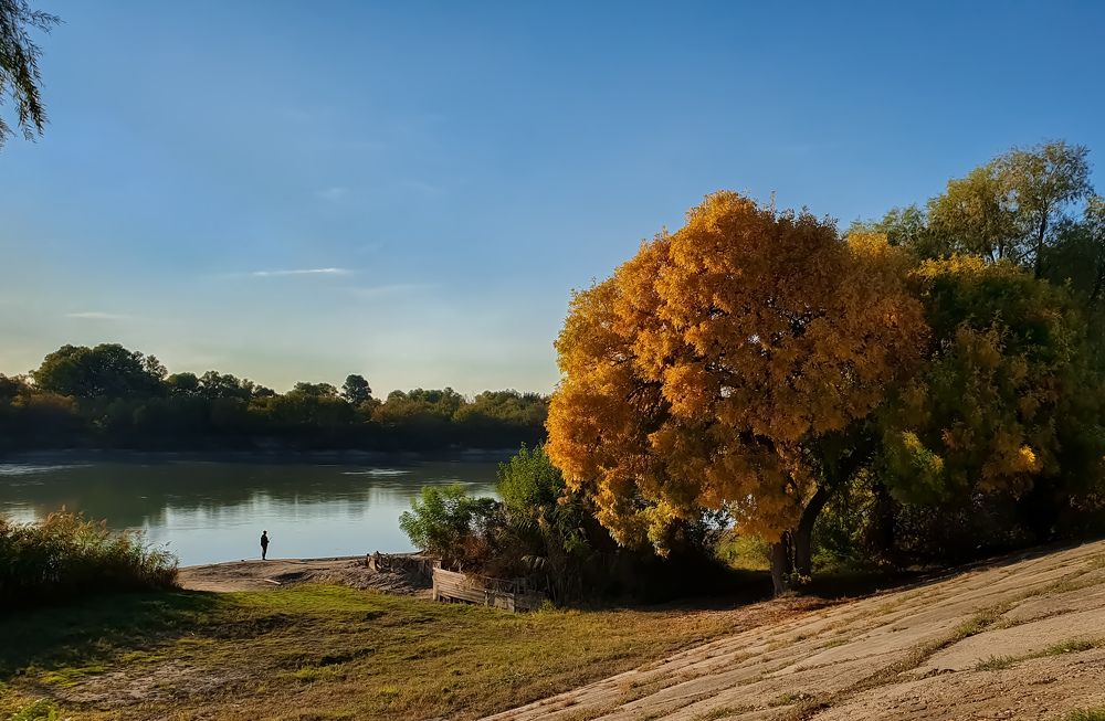 Photograph by Анастасия Трофимовская