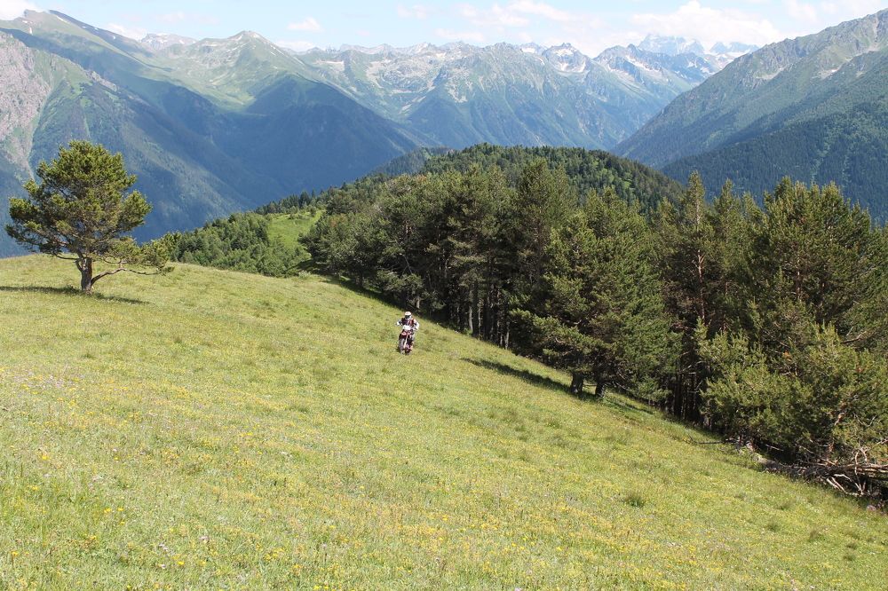 Photograph by Ирина Поваляева