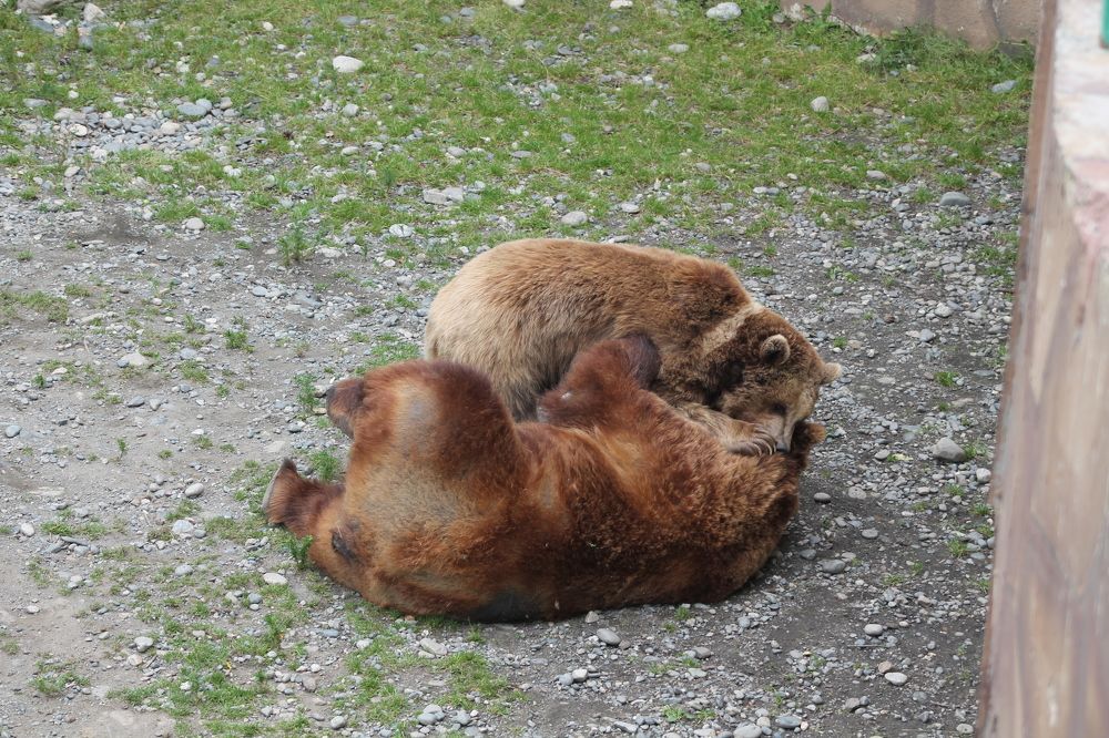 Photograph by Ирина Поваляева