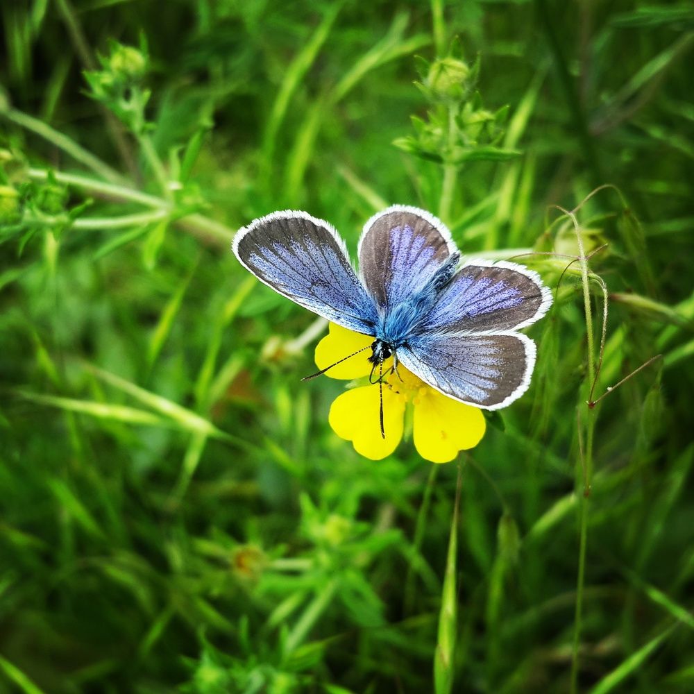 Photograph by Александра Ворона