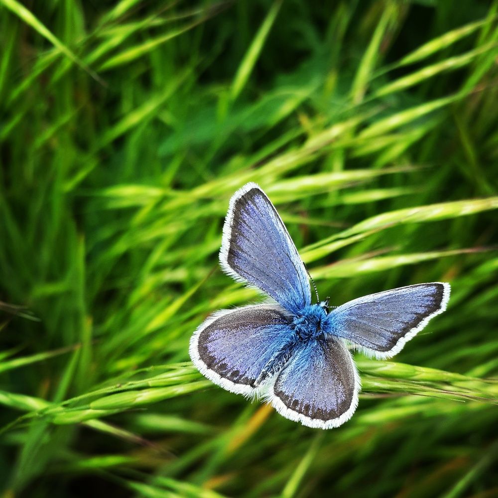 Photograph by Александра Ворона