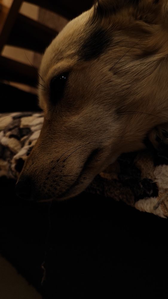 Photograph by Александр