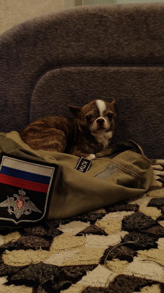 Photograph by Александр