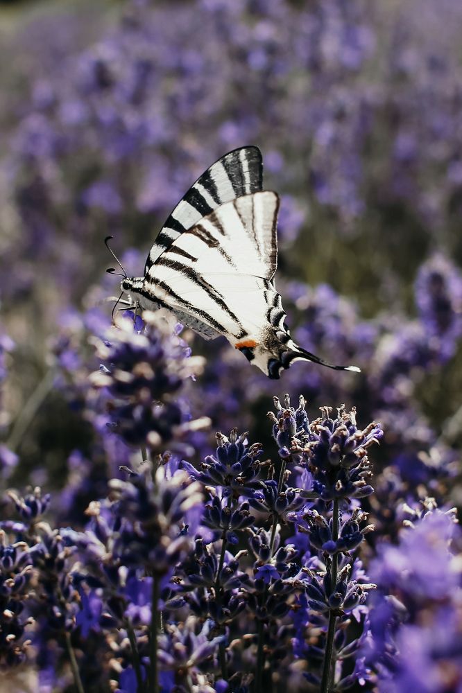 Photograph by Панькина Мария