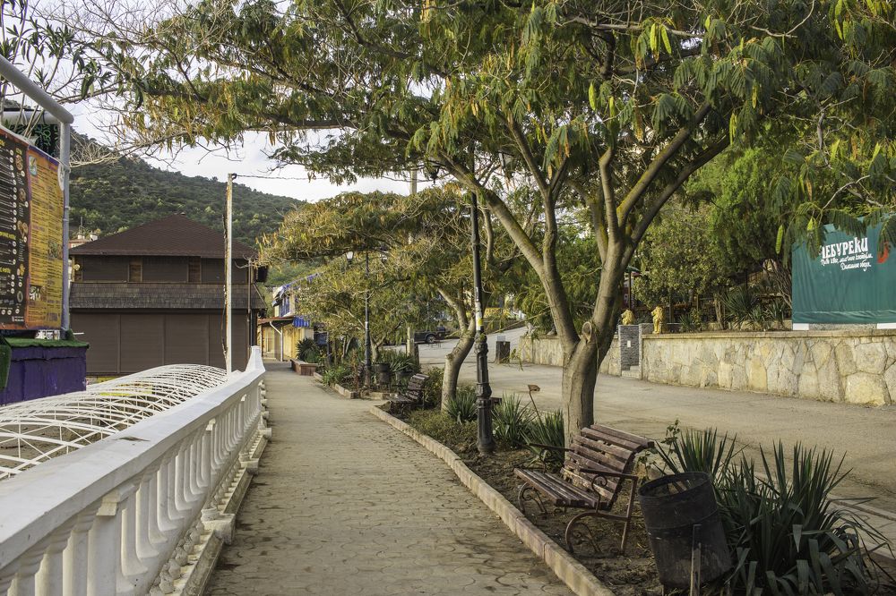 Photograph by Елена Шахова