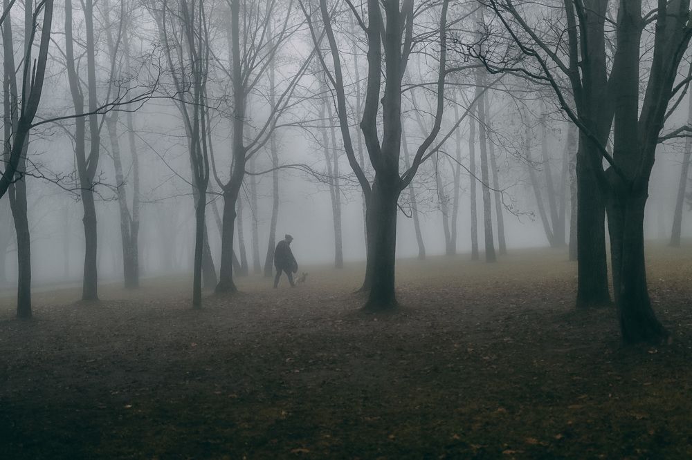 Photograph by Зоя Ципельштейн