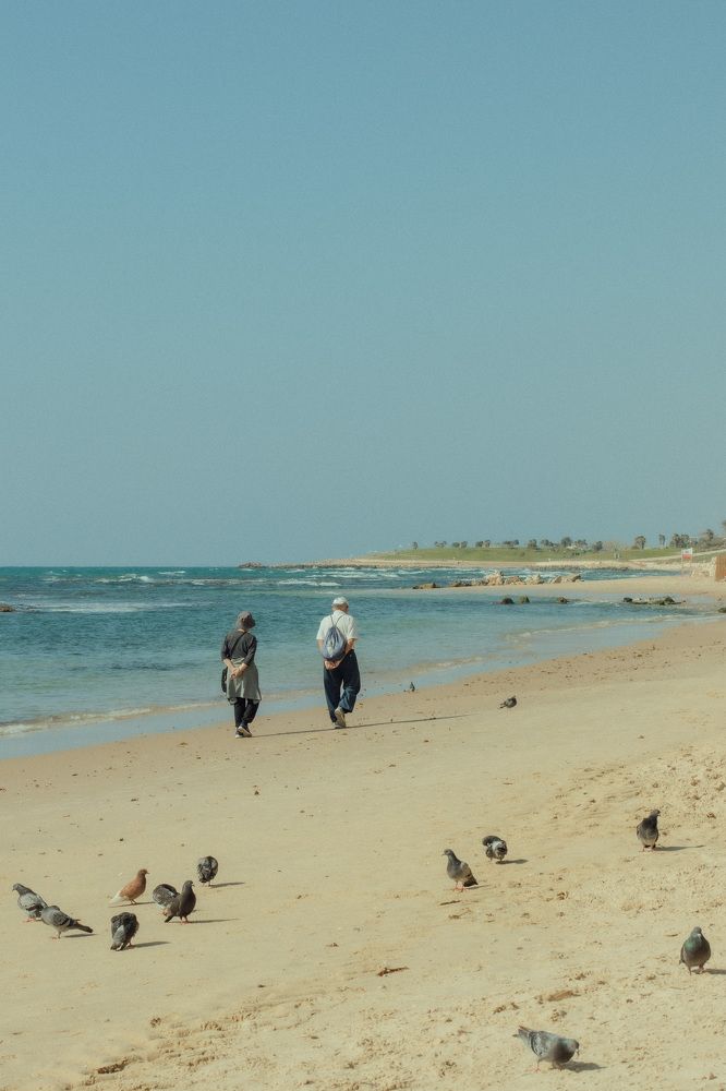 Photograph by Зоя Ципельштейн