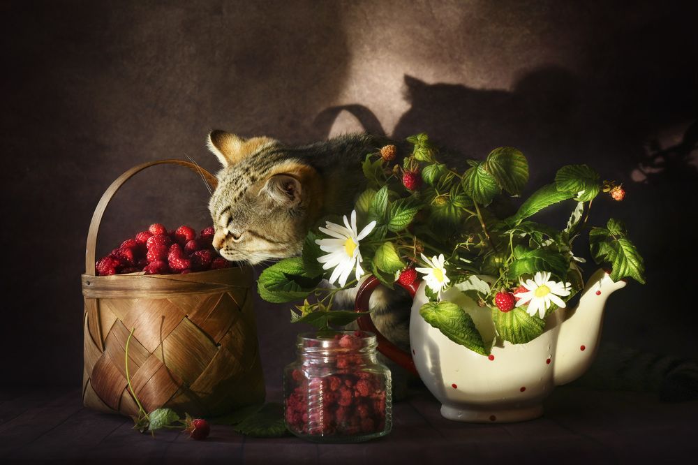 Photograph by Ирина Ефимова