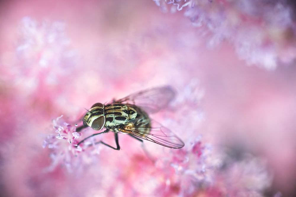 Фотография автора Владислав Храмцов