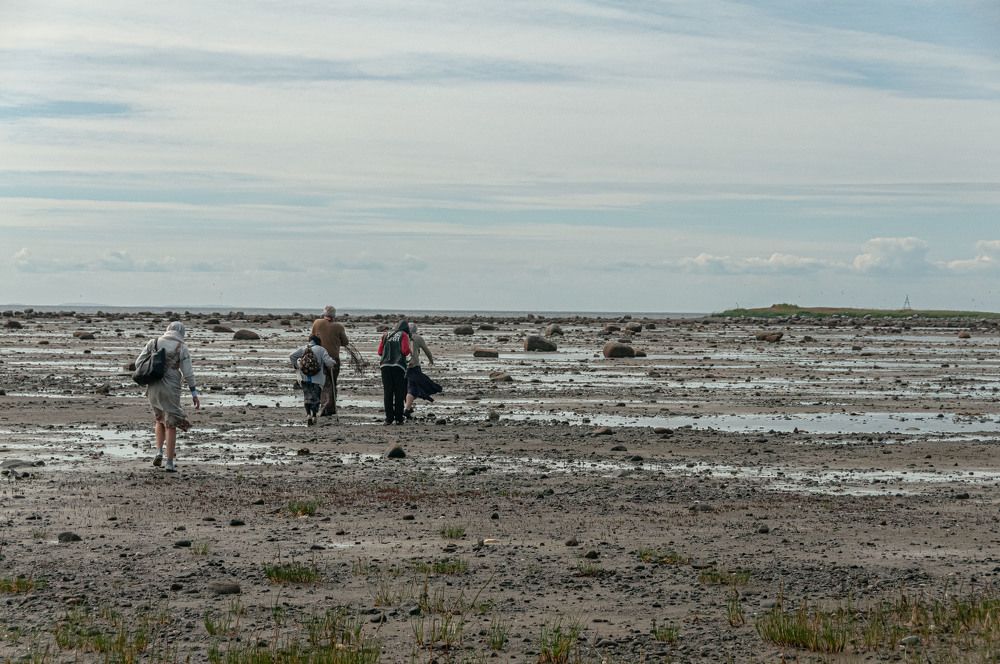 Photograph by Vladimir  Komarov