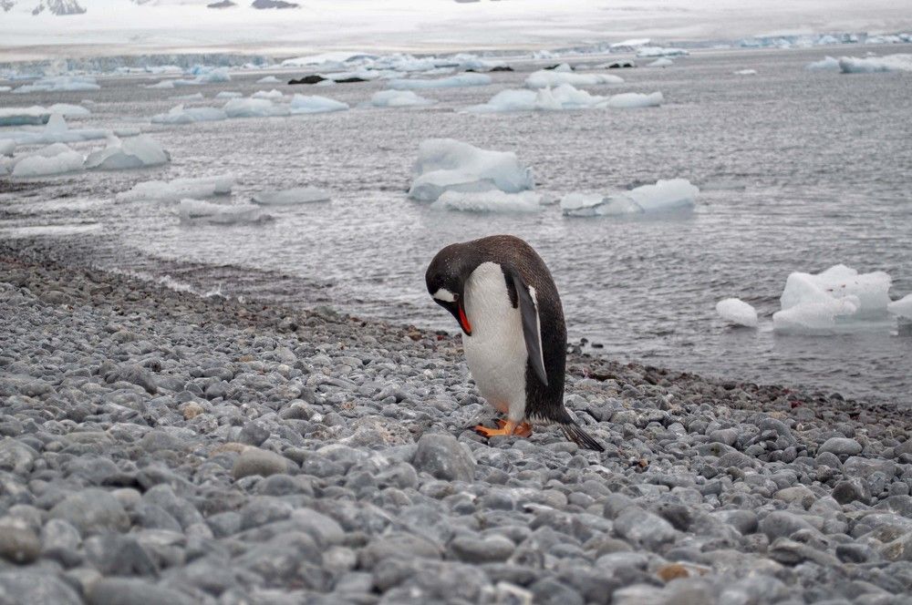 Photograph by Ованес Агарян